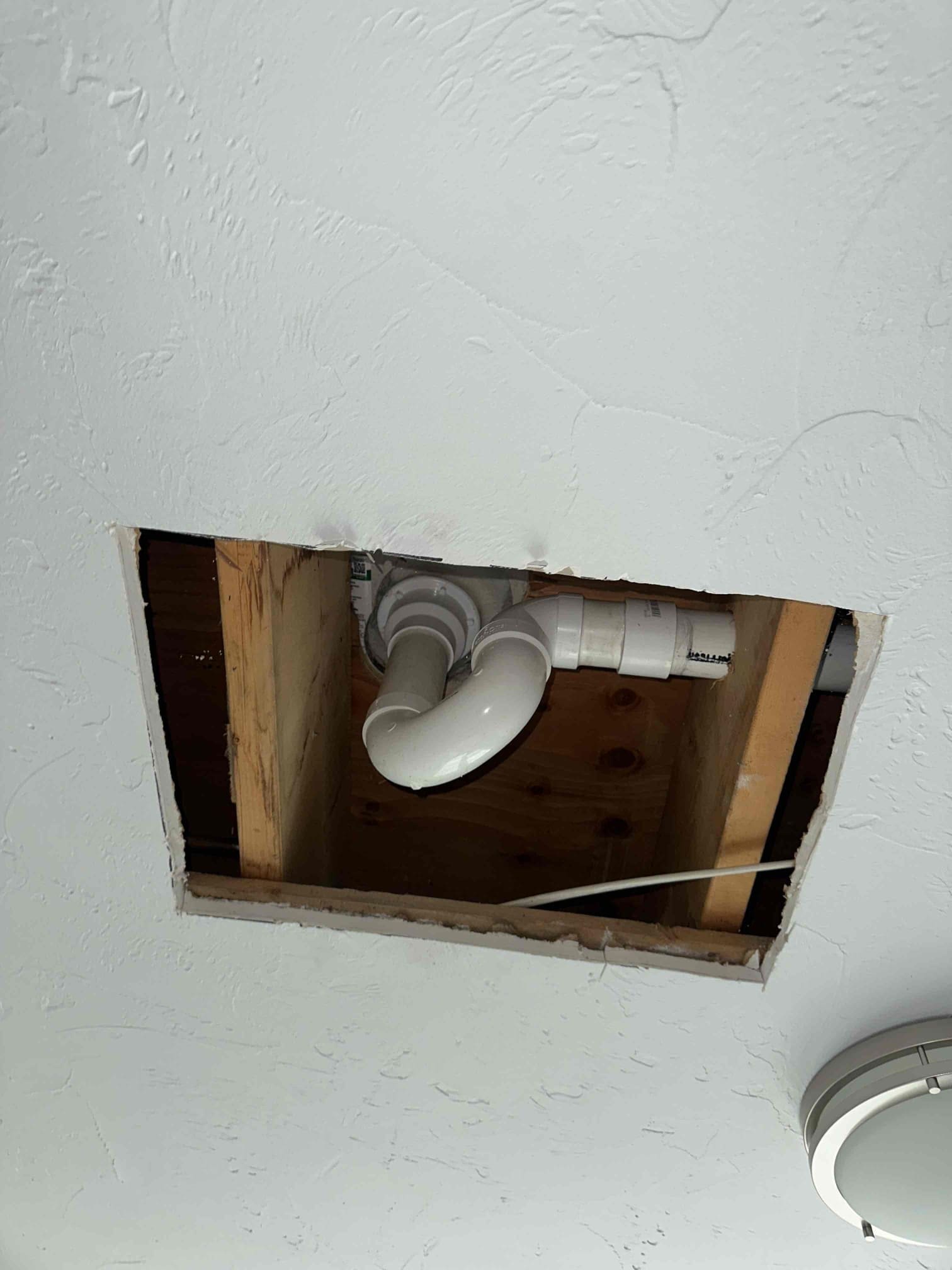 Tips on how to Stop Mould in Your Partitions and Ceilings