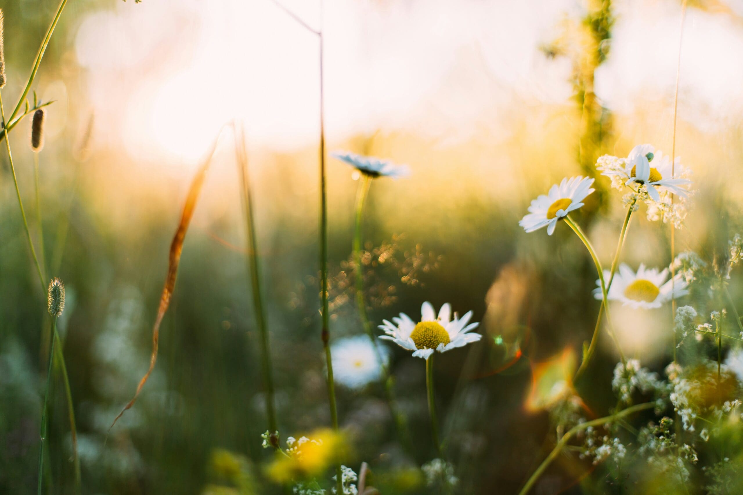 Spring Plumbing Upkeep Guidelines for a Leak-Free Residence