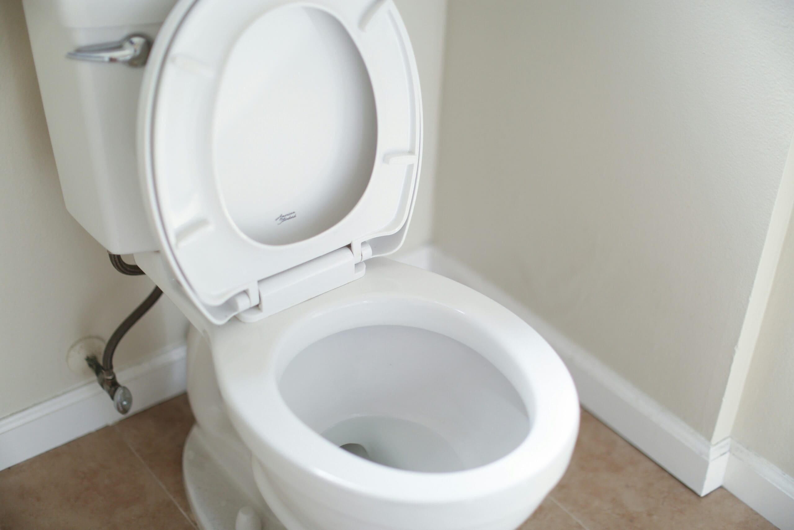 The Most Widespread Causes of Sewer Backups and Tips on how to Stop Them